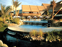 Just one of three swimming pools at the Jebel Ali Dubai.