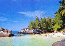 Anonyme Seychelles, idyllic for weddin or honeymoon with a party of friends and you can have the whole island.
