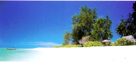 Seychelles Denis Island, a castaways retreat.