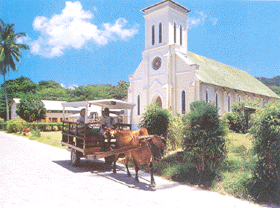 In this paradise, one finds local transport as Ox drawn carts, life is certainly in the slow lane.