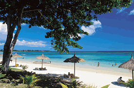 Gorgeous beaches , warm clear blue sea , unspoilt Mauritius , the perfect  dream holiday  destination .