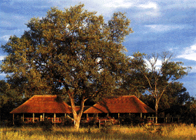 makalolo plains Zimbabwe
